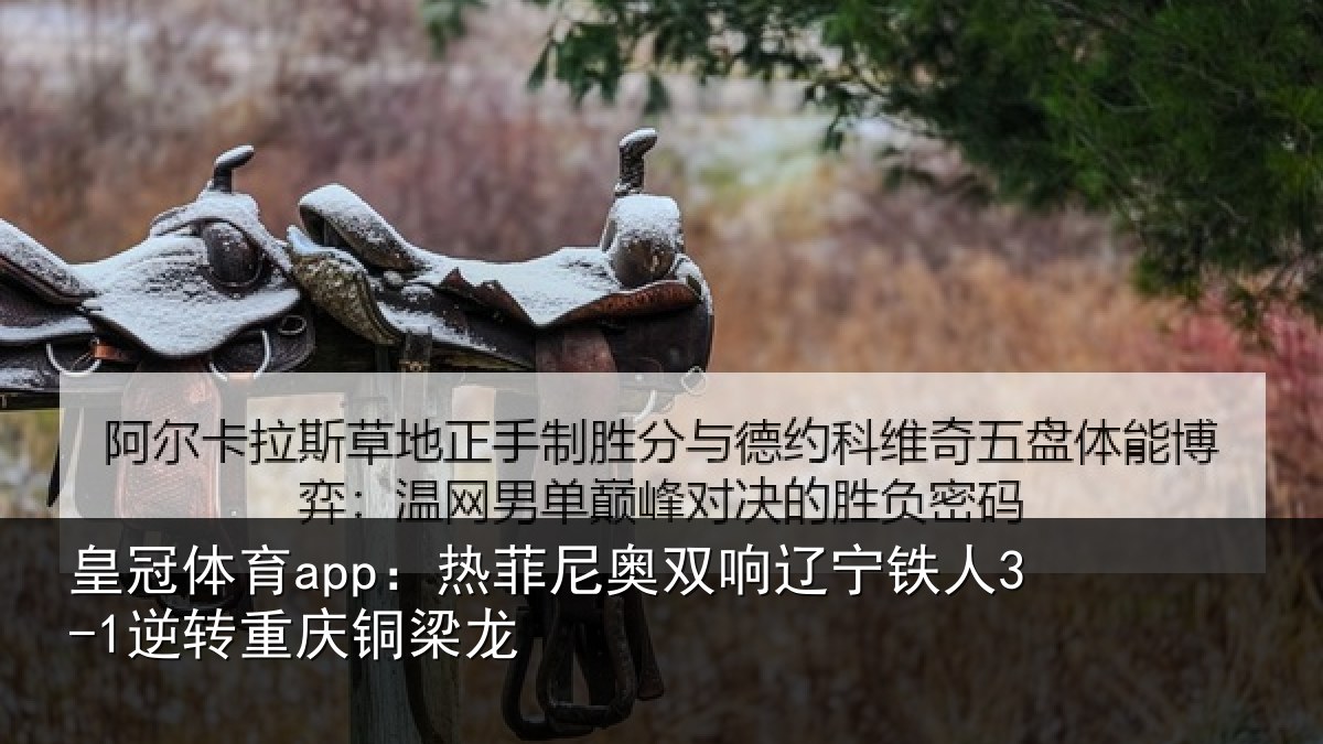 皇冠体育app:热菲尼奥双响辽宁相关情况龙
