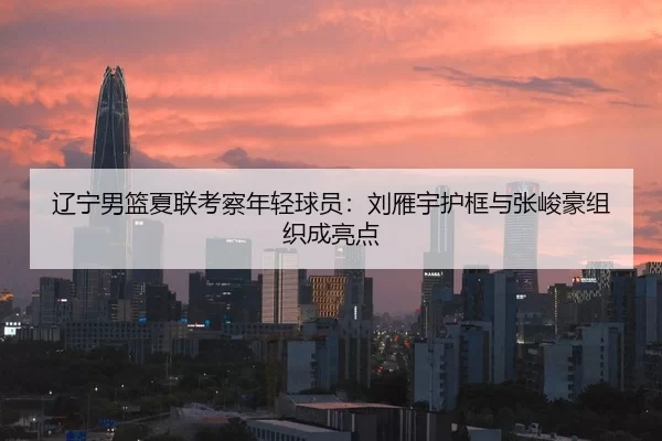 辽宁男篮夏联考察年轻球员：刘雁宇护框与张峻豪组织成亮点