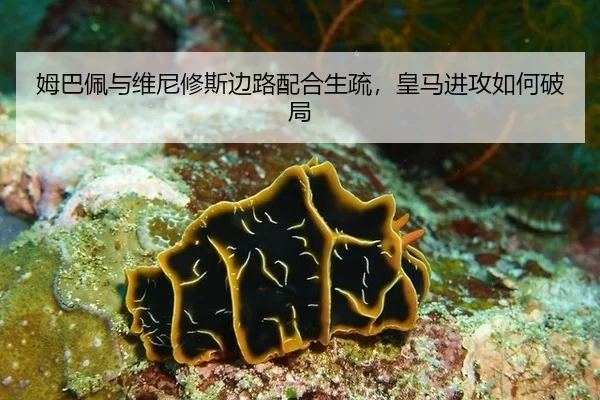 姆巴佩与维尼修斯边路配合生疏，皇马进攻如何破局