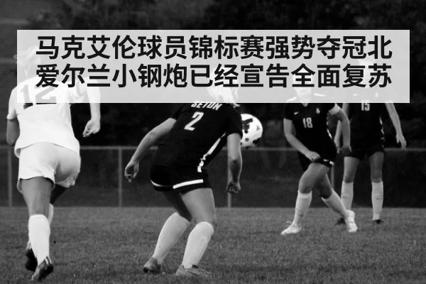 马克艾伦球员锦标赛强势夺冠北爱尔兰小钢炮已经宣告全面复苏